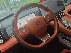 Jetour Jietu Shanhai L7 PLUS 220km Flagship 5-Seater - ფოტო 15
