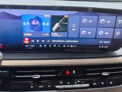 Buick Century 2.0T Seven-Seat 2023 2.0T Seven-Seat Premium Edition - ფოტო 13