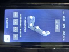 Denza D9 2022 DM-i 970 AWD Flagship - ფოტო 11