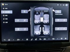 Denza D9 2022 DM-i 970 AWD Flagship - ფოტო 15