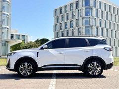 Chery Tiggo 7 PLUS 2023 Champion Edition 1.5TCI CVT Extraordinary Edition - ფოტო 4