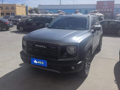 Great Wall Dachshund 2026 1.5T DCT Border Collie Edition - ფოტო 2