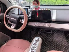 Changan Lumin 205km Xiangqin Edition - ფოტო 12