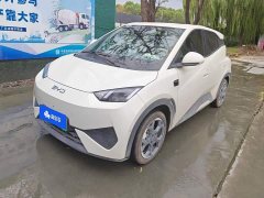 BYD Seagull Smart Driving Edition 305km Freedom Edition - ფოტო 1