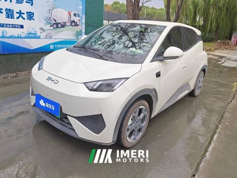 2025 BYD Seagull Smart Driving Edition 305km Freedom Edition - ავტომობილი ჩინეთიდან