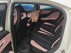 BYD Seagull Smart Driving Edition 305km Freedom Edition - ფოტო 11