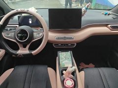 BYD Seagull Smart Driving Edition 305km Freedom Edition - ფოტო 12