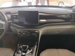 BYD Qin PLUS 2024 Glory Edition DM-i 55KM Leading - ფოტო 12