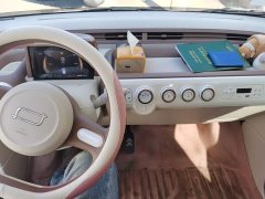 FAW Besturn Xiaoma 2026 222km Cute Horse Plus - ფოტო 9