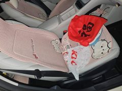 Geely Xing Yuan UP 410km Explorer Edition - ფოტო 8
