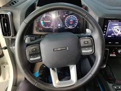 Great Wall Dachshund 2.0T DCT Four-Wheel Drive Chinese Rural Dog Edition - ფოტო 15