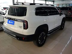 Great Wall Dachshund 2.0T DCT Four-Wheel Drive Chinese Rural Dog Edition - ფოტო 3