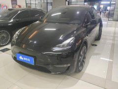 Tesla Model Y High Performance All-Wheel Drive - ფოტო 1