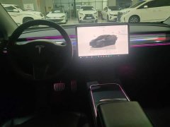 Tesla Model Y High Performance All-Wheel Drive - ფოტო 12