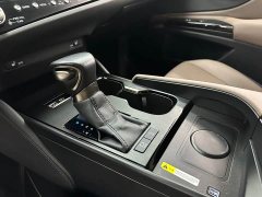 Lexus ES 200 Excellence Edition - ფოტო 10