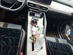 Geely Bingyue 1.5T DCT Platinum Edition - ფოტო 16