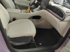 Geely Star Wish 2026 410km Freedom Edition - ფოტო 8