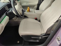 Geely Star Wish 2026 410km Freedom Edition - ფოტო 9