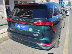 Great Wall WEY Blue Mountain Four-Wheel Drive Extended Range Version - ფოტო 3