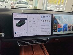 Li Auto L9 Ultra - ფოტო 13