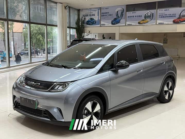BYD Dolphin 420km Freedom Edition