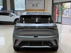 BYD Dolphin 420km Freedom Edition - ფოტო 5