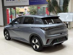 BYD Dolphin 420km Freedom Edition - ფოტო 6