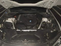 BMW 5 Series 2022 Facelift 530Li Premier M Sport Package - ფოტო 10