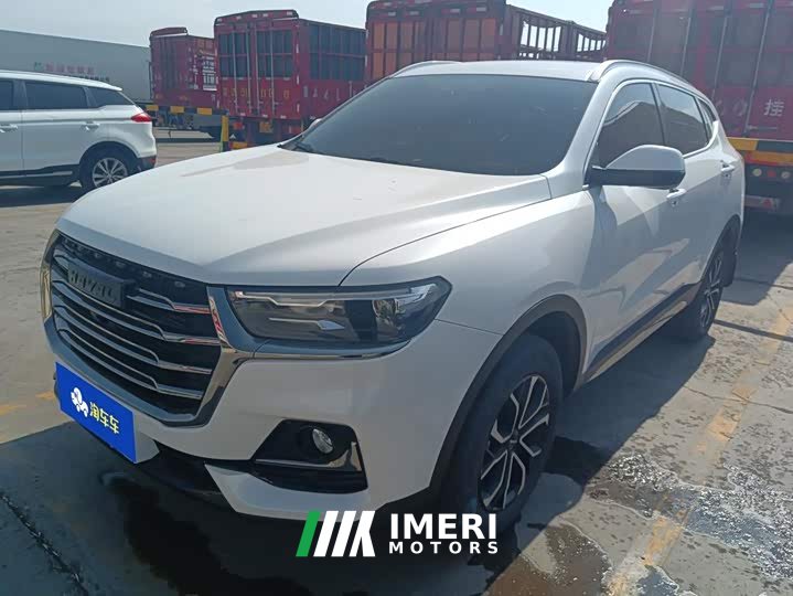Haval H6 2021 National Trend Edition 1.5T Automatic Urban Version - ავტომობილი ჩინეთიდან