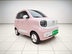 FAW Besturn Xiaoma 222km Dynamic Edition - photo 3
