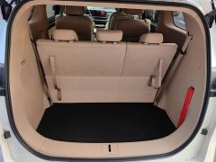 Buick GL8 New Energy Lusang Respect Edition - ფოტო 4