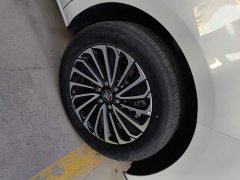 Buick GL8 New Energy Lusang Respect Edition - ფოტო 6