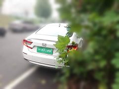 Honda Accord 2018 260TURBO Luxury China VI - ფოტო 4