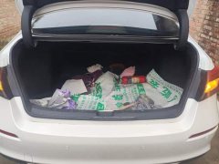 Honda Civic 240TURBO CVT Dynamic Edition - ფოტო 4