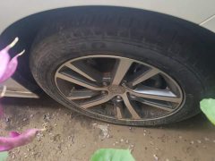 Honda Civic 240TURBO CVT Dynamic Edition - ფოტო 6