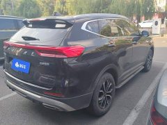 Haval H6 National Trend Edition 1.5T Automatic Urban Version - ფოტო 3