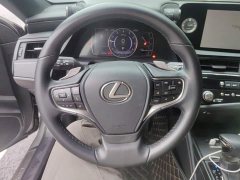 Lexus ES 200 Excellence Edition - ფოტო 15