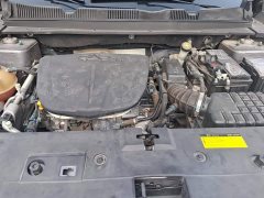 Jetour Jietu Dasheng 2022 1.6T DCT King Plus - ფოტო 10