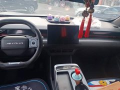 Jetour Jietu Dasheng 2022 1.6T DCT King Plus - ფოტო 13