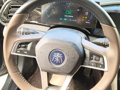 BYD Qin PLUS Champion Edition DM-i 55KM Leading - ფოტო 15