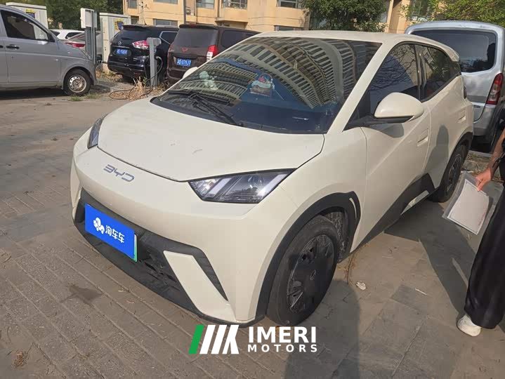 BYD Seagull Vitality Edition - ავტომობილი ჩინეთიდან