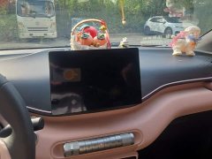 BYD Seagull Vitality Edition - ფოტო 13