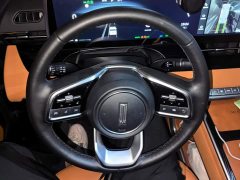 Great Wall WEY Shanshan New Energy 2023 Four-Wheel Drive Executive Extended Version - ფოტო 15
