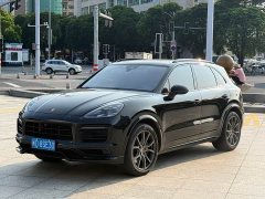 Porsche Cayenne S 2.9T Platinum Edition - ფოტო 1