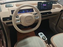 Geely Panda Mini 200km Endurance Edition - ფოტო 12