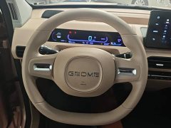 Geely Panda Mini 200km Endurance Edition - ფოტო 15