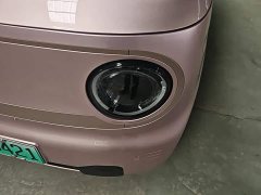 Geely Panda Mini 200km Endurance Edition - ფოტო 5
