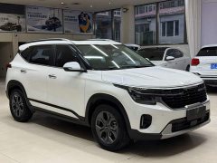Kia Situs 1.5L CVT Luxury - ფოტო 3