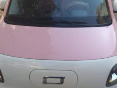 FAW Besturn Xiaoma 170km Vitality Edition - ფოტო 10
