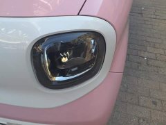 FAW Besturn Xiaoma 170km Vitality Edition - ფოტო 5